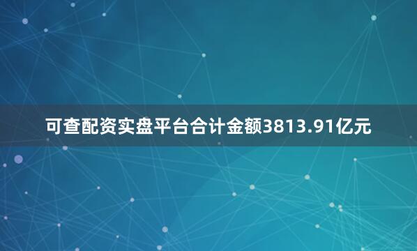 可查配资实盘平台合计金额3813.91亿元